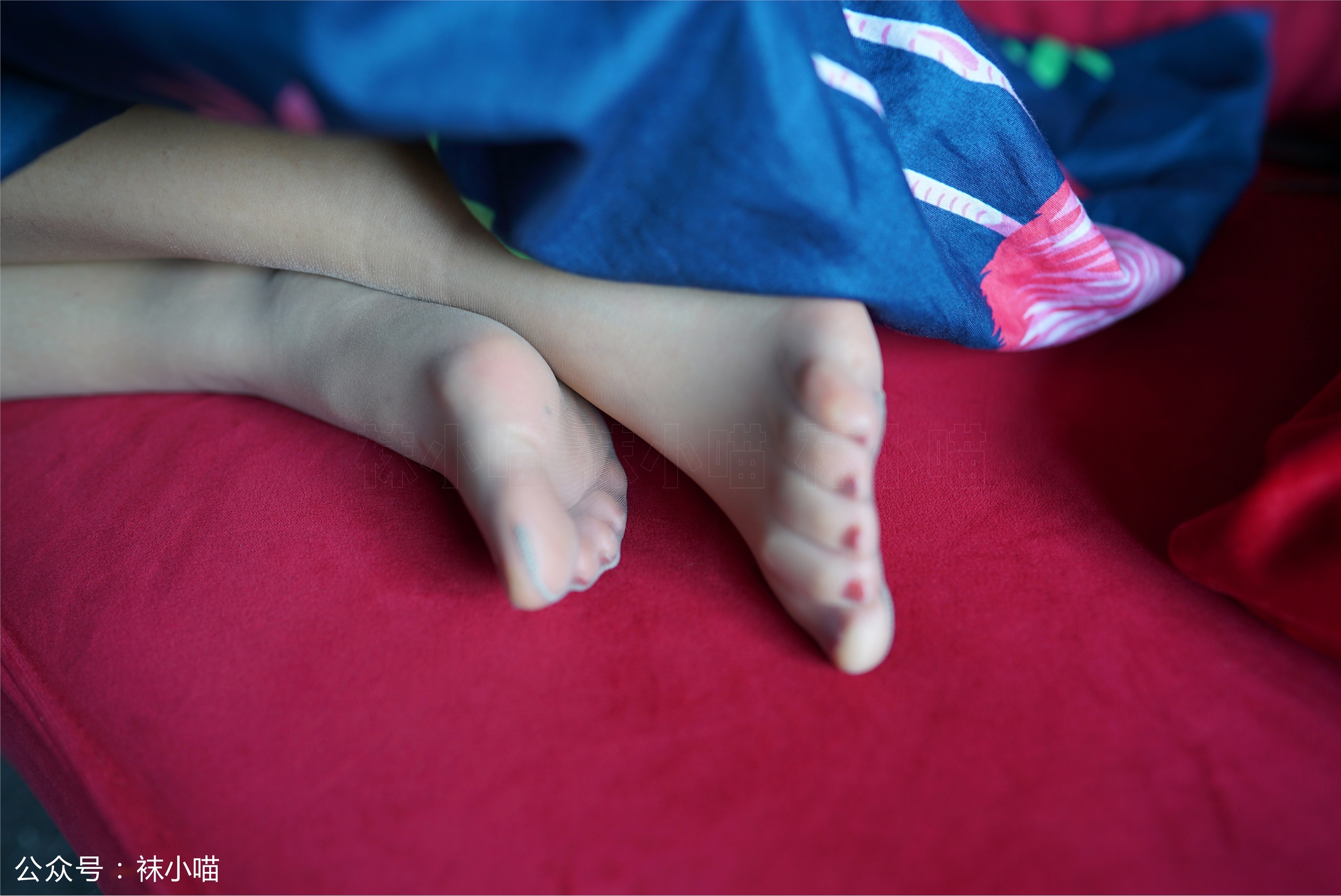 kittyWawa袜小喵故事集  KTS016 L总监指导方案